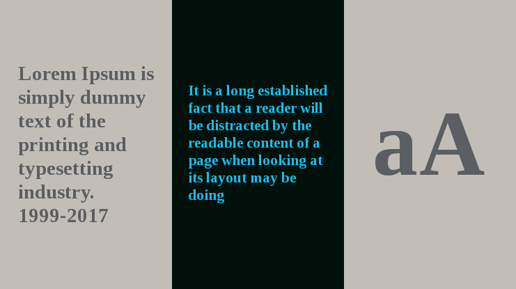 Libra Serif Modern Font Family