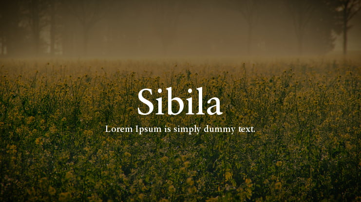 Sibila Font