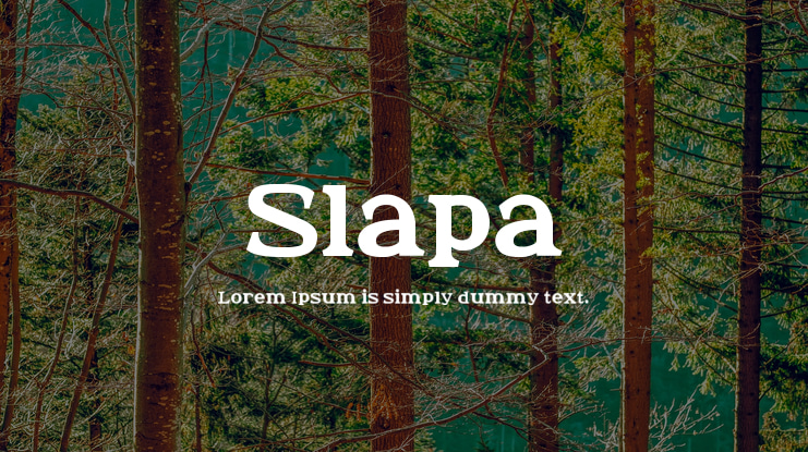 Slapa Font