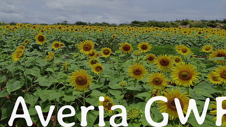 Averia GWF Font Family