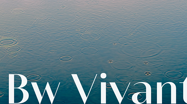 Bw Vivant Font Family