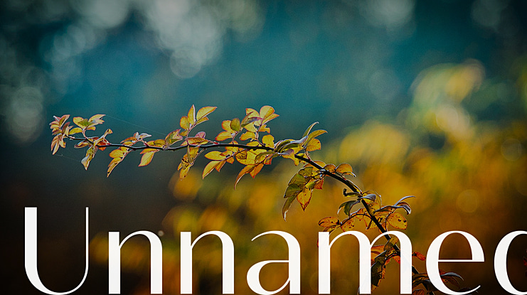 Unnamed Font
