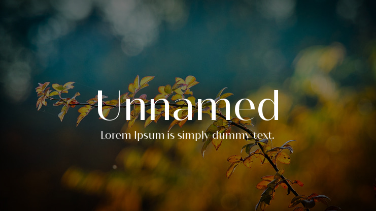Unnamed Font