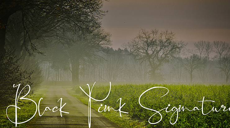 Black Pink Signature Font