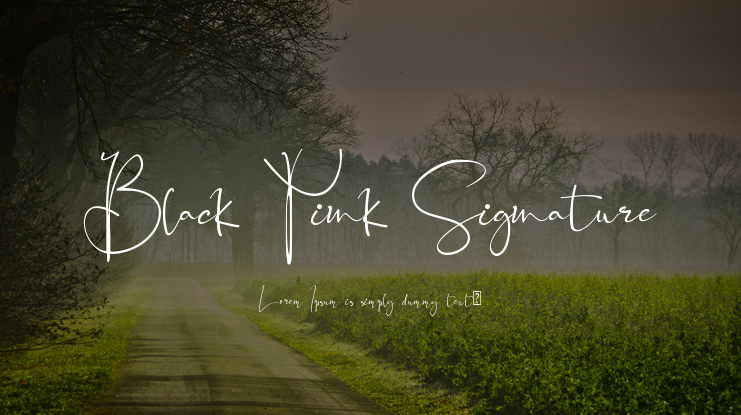 Black Pink Signature Font