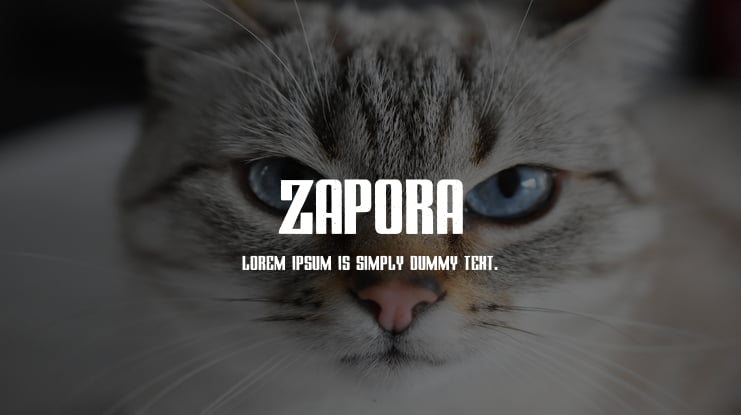 ZAPORA Font
