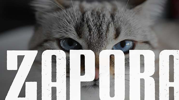 ZAPORA Font