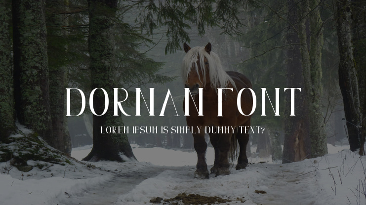 Dornan Font