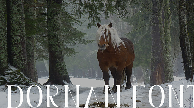 Dornan Font