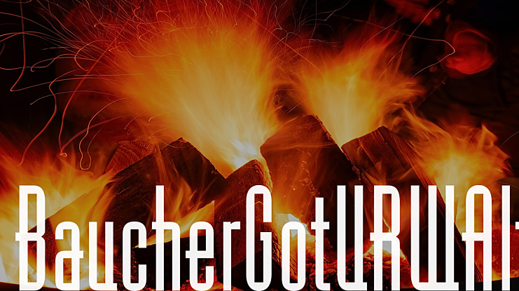 BaucherGotURWAlt Font Family