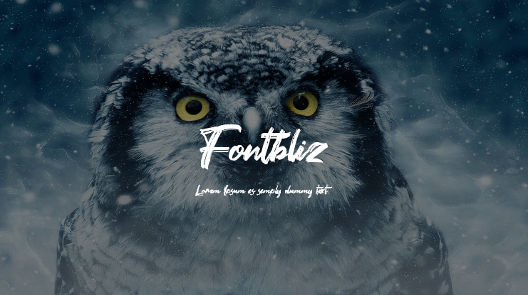 Fontbliz Font