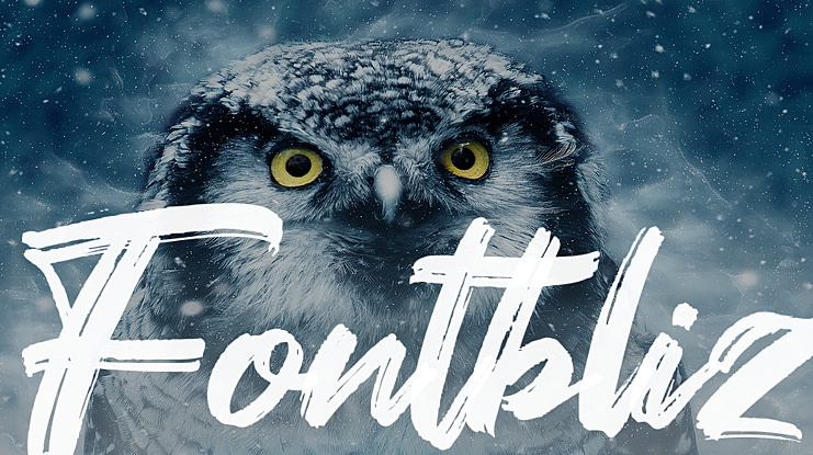 Fontbliz Font