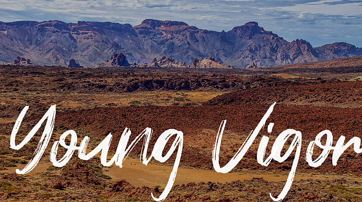Young Vigor Font