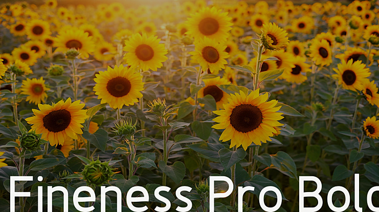 Fineness Pro Black Font Family