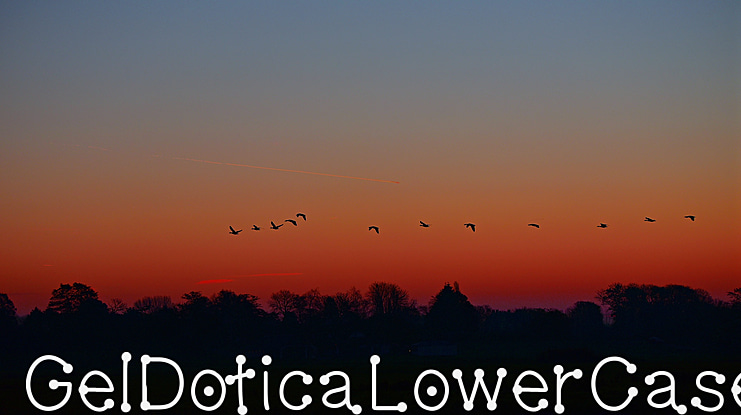 GelDoticaLowerCase Font Family