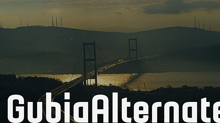 GubiaAlternate Font Family