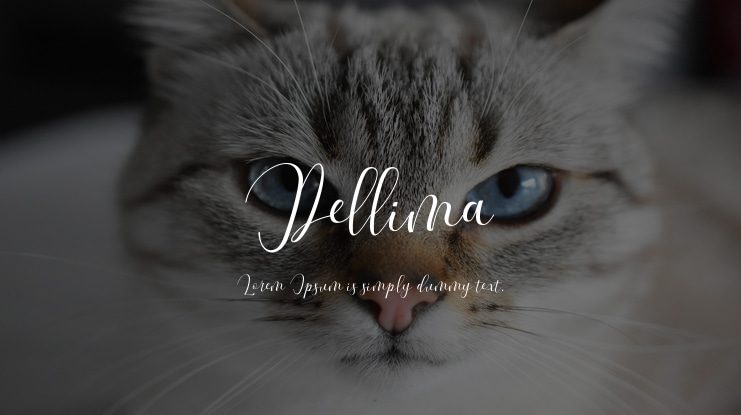 Dellima Font