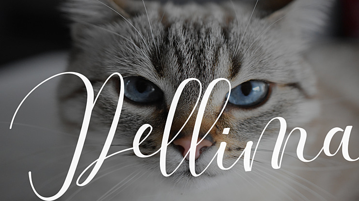 Dellima Font