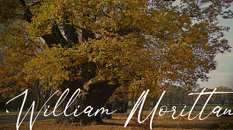 William Morittan Font