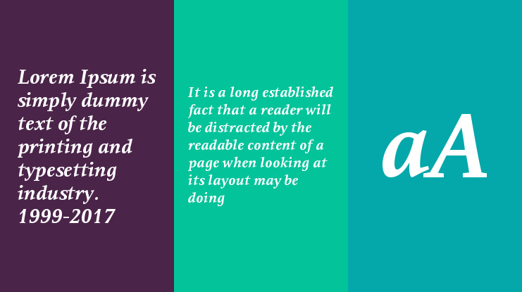 Resavska BG Font Family