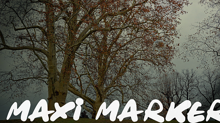Maxi Marker Font Family