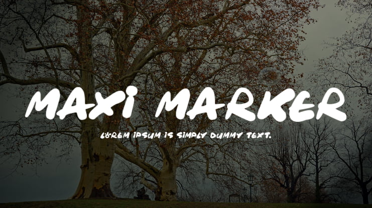 Maxi Marker Font Family