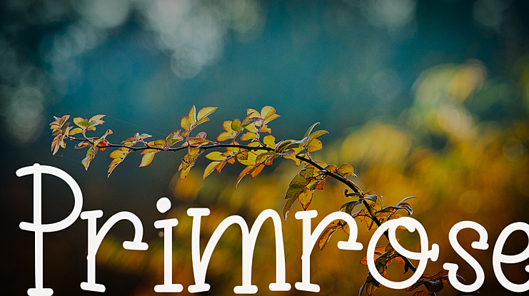 Primrose Font