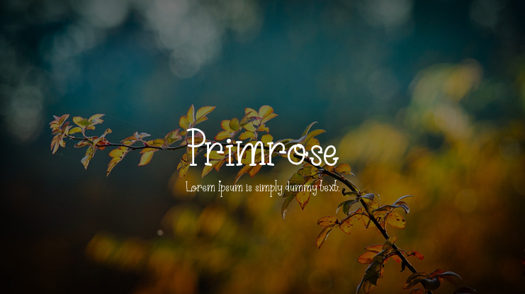 Primrose Font