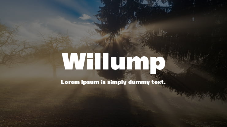 Willump Font