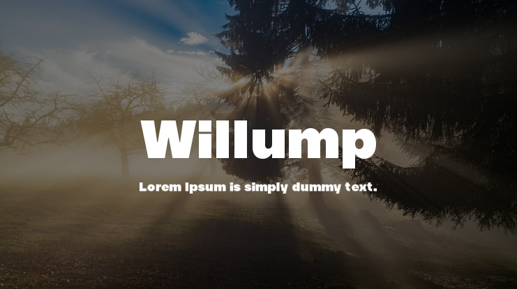 Willump Font