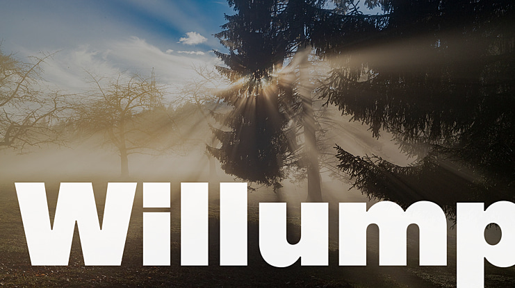Willump Font
