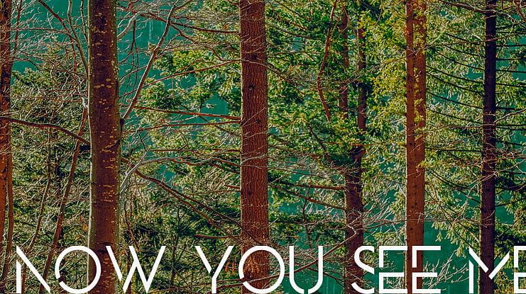 NOW YOU SEE ME Font