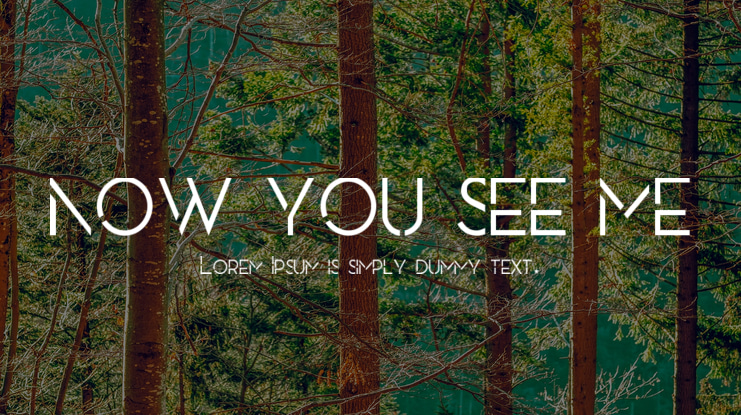 NOW YOU SEE ME Font