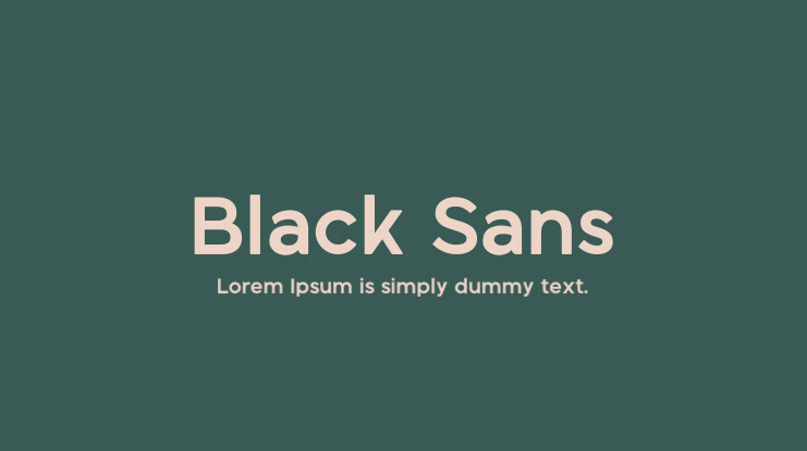 Black Sans Font Family