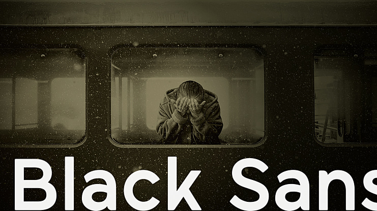 Black Sans Font Family