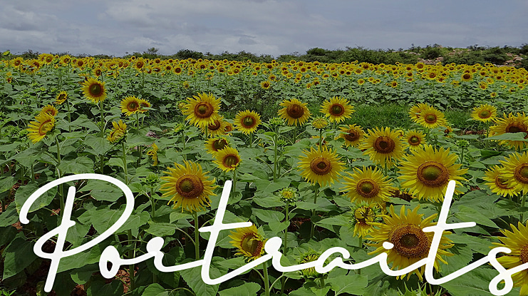 Portraits Font
