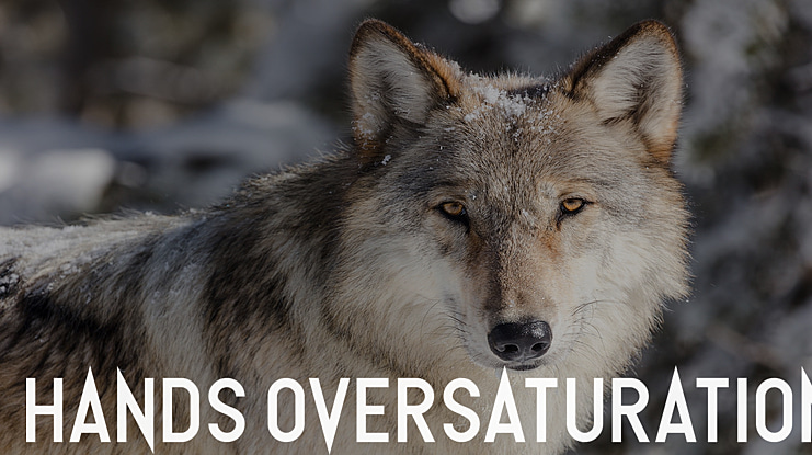 Hands Oversaturation Font