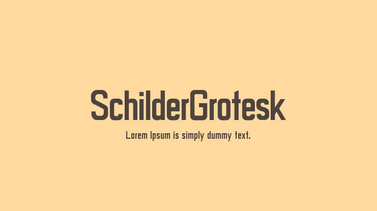 SchilderGrotesk Font