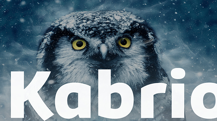 Kabrio Font