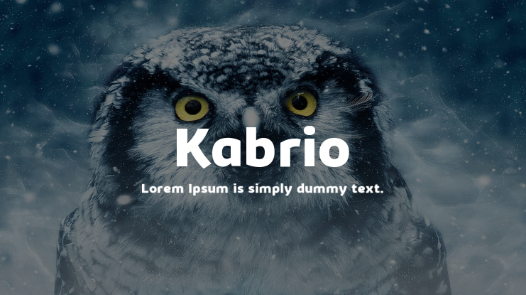 Kabrio Font