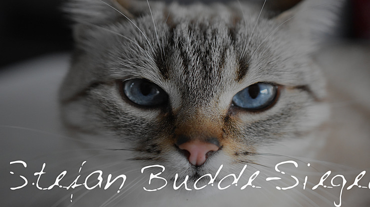 Stefan Budde-Siegel Font