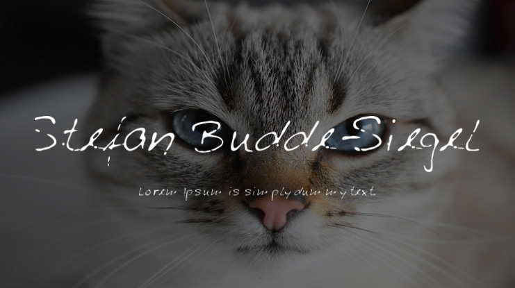 Stefan Budde-Siegel Font