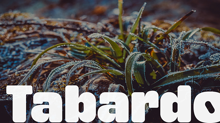 Tabardo Font
