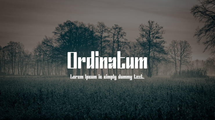 Ordinatum Font Family