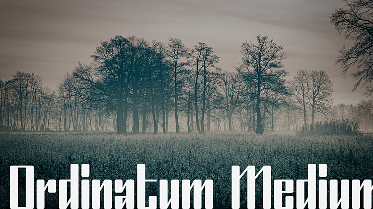 Ordinatum Font Family