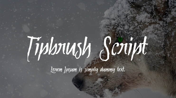 Tipbrush Script Font Family