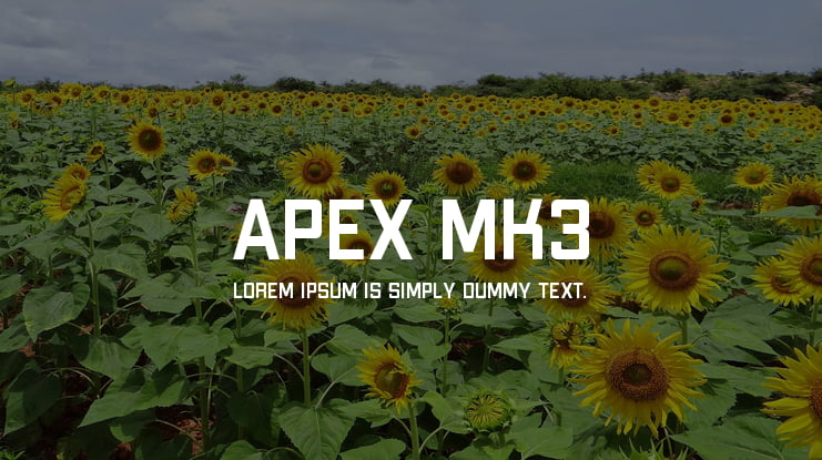 Apex Mk3 Font Family