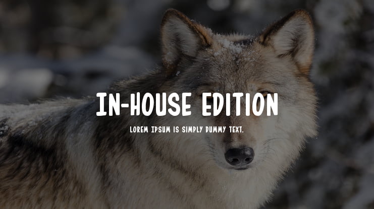 In-House Edition Font Family
