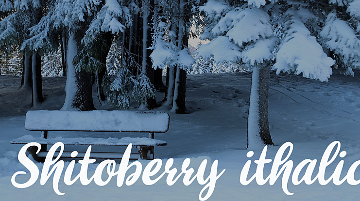 Shitoberry ithalic Font