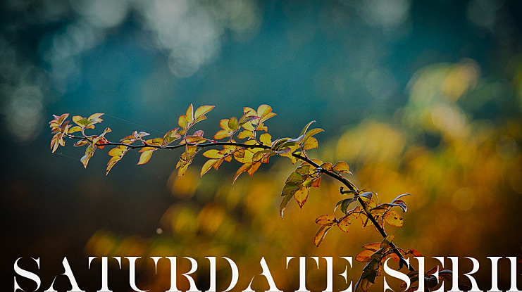 SATURDATE SERIF Font